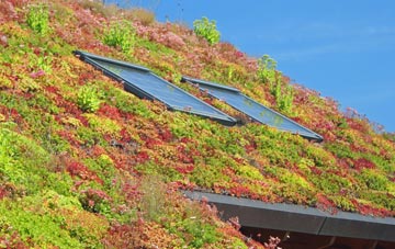 Easingwold living roof systems
